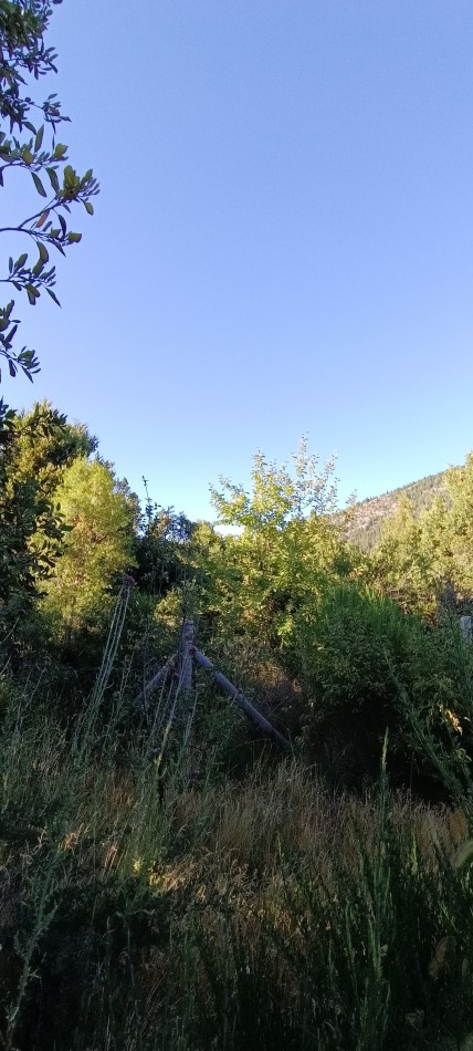 Lote en Villa Los Coihues APTO PH!