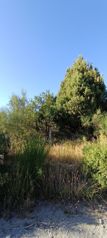 Lote en Villa Los Coihues APTO PH!