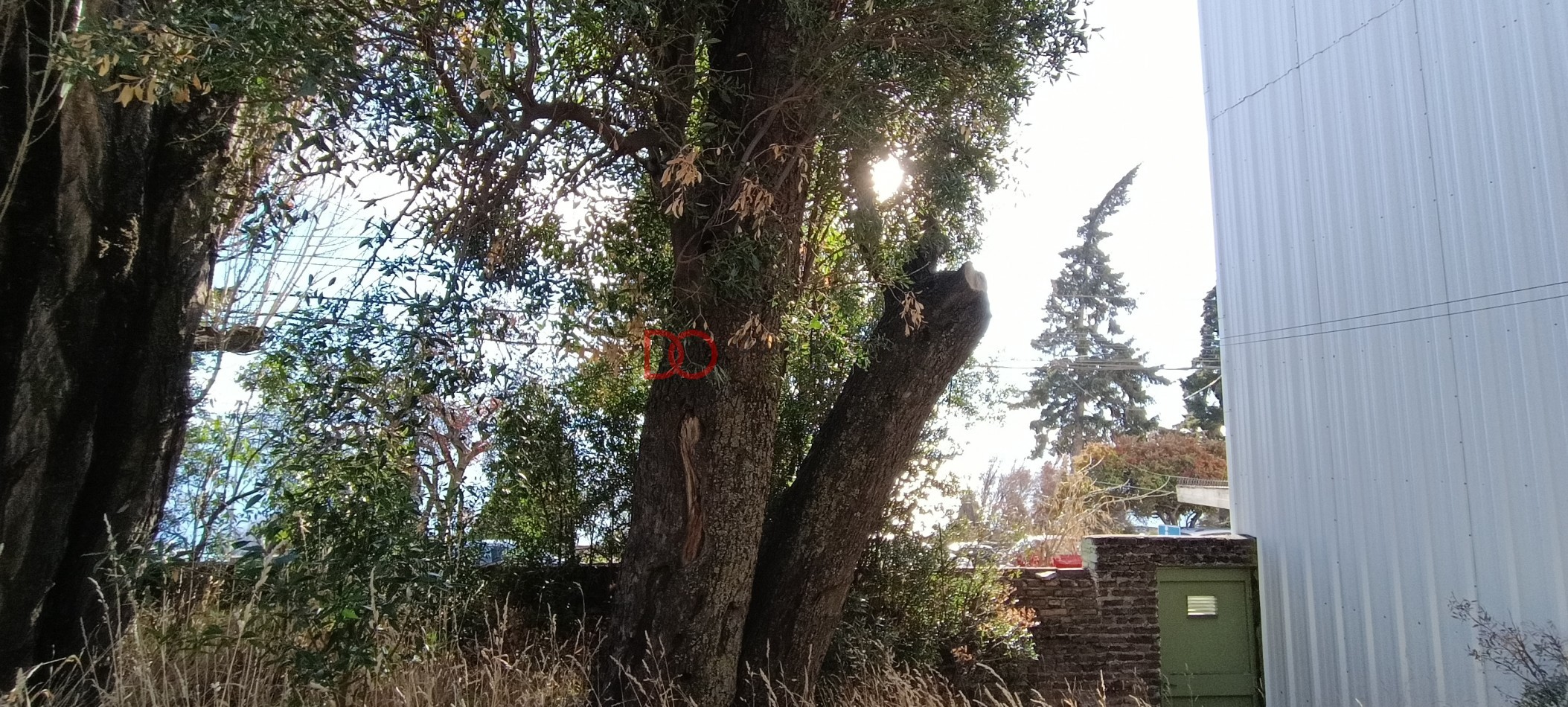 Lote urbano vista unica