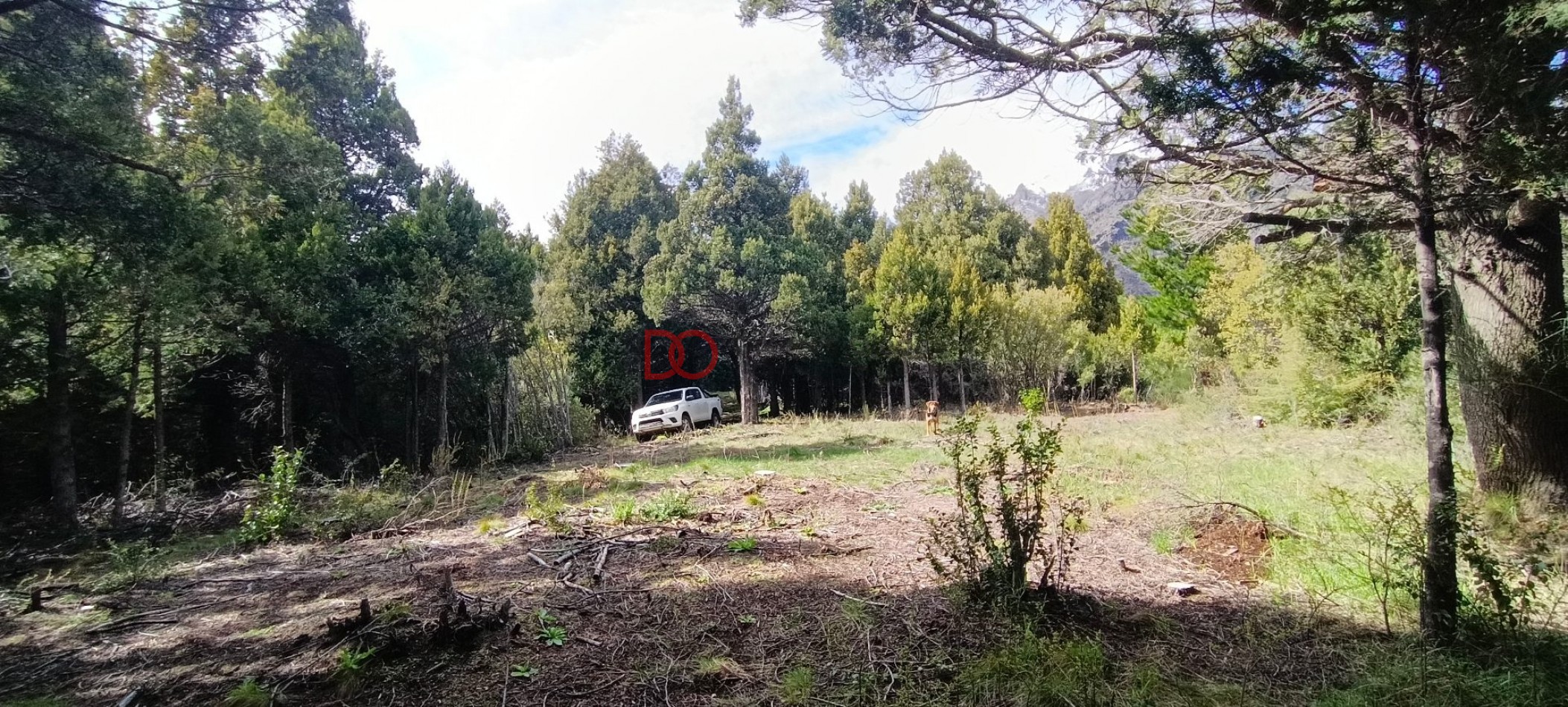 Lote con subdivision
