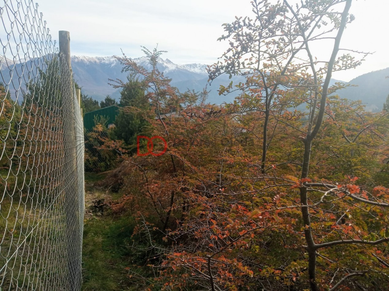 Vista al lago y montañas