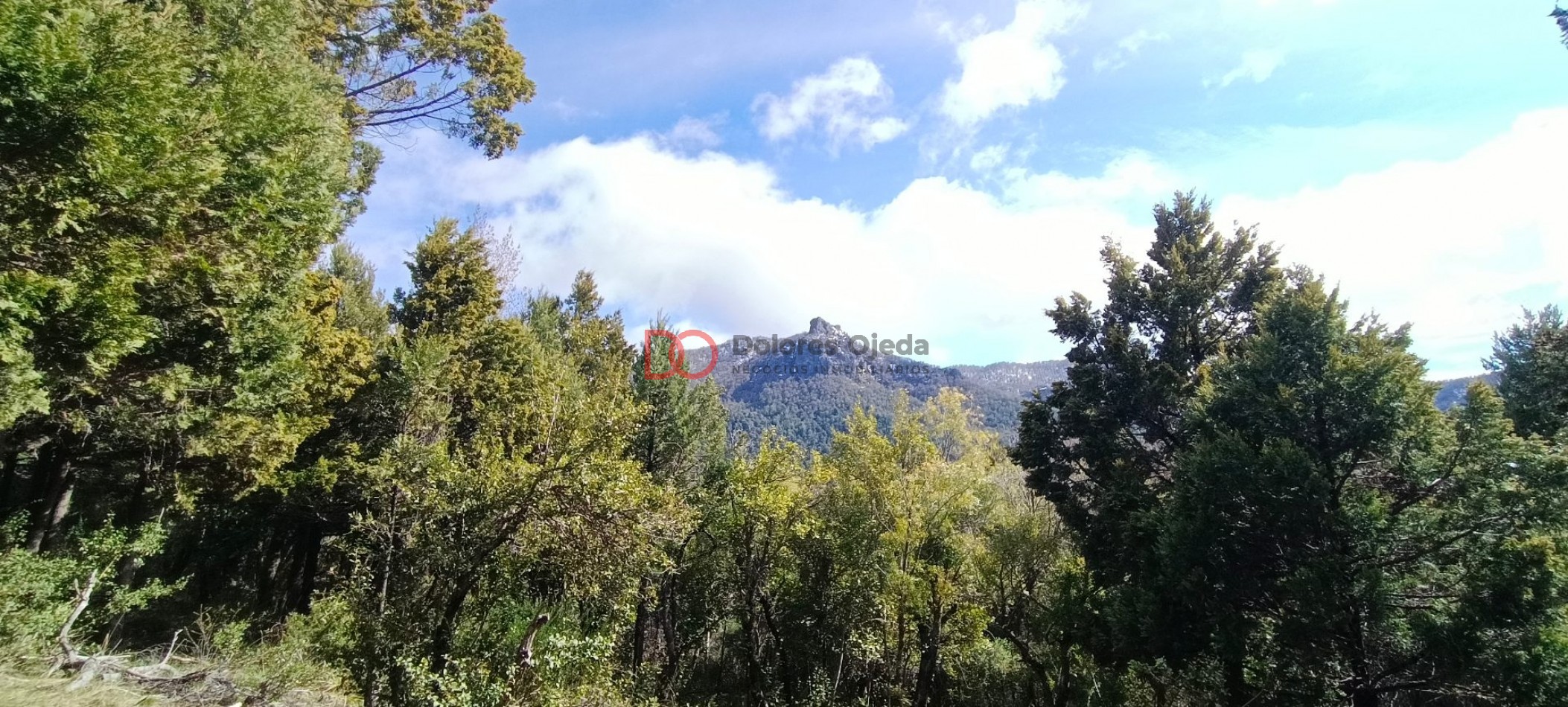 Lote con subdivision