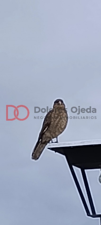 lote en Barrancas de Dina Huapi