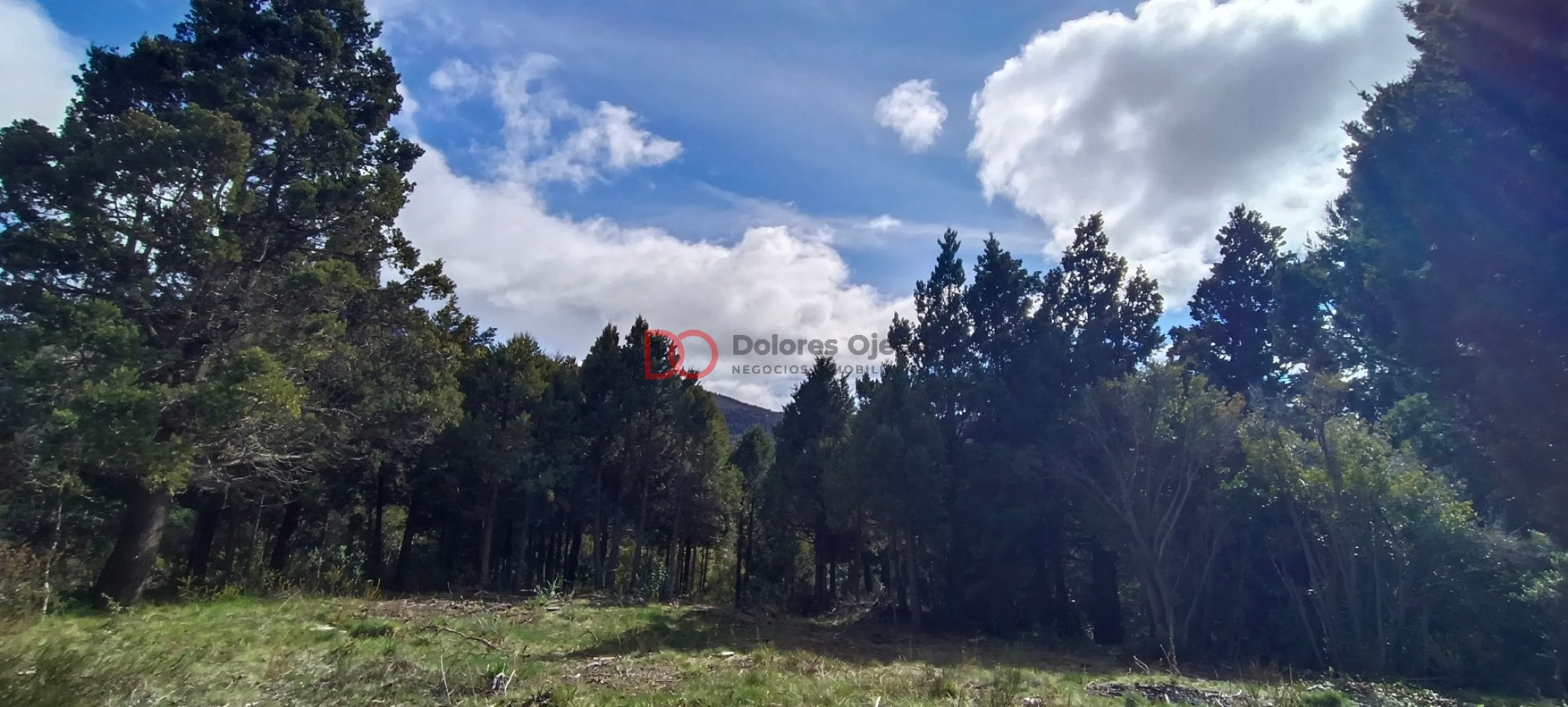 Lote con subdivision