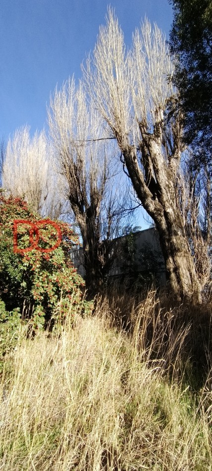 Lote urbano vista unica