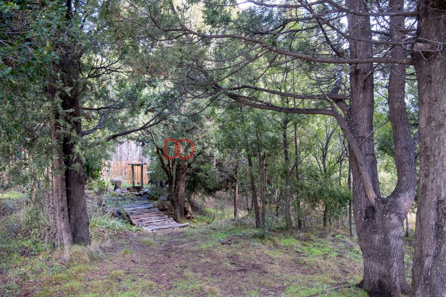 Casa con Vista