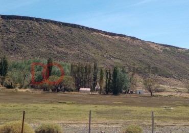 Campo en venta