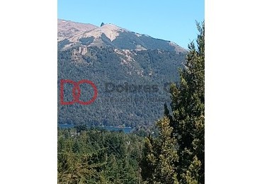 Vista al lago y montañas